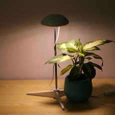 Heyniu 식물등 LED 식물조명 ZWD003 외 식물등 추천상품 TOP 10