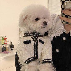 2023년 02월 15일 오늘의 강아지겨울옷 상품 TOP 10